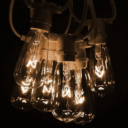 Hometown Evolution, Inc. Commercial Grade Vintage Edison Outdoor String Lights (ST40 Clear - Commercial White Wire, 100 ft)
