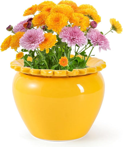 8in Self Watering Terracotta Planter - Yellow Ceramic Pot Maintenance Plant Seeder Planter for Indoor Plants African Violet