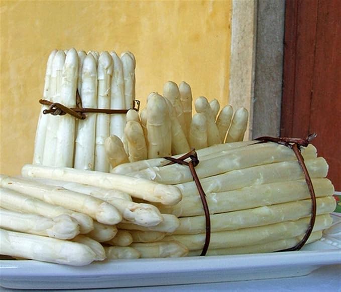 Seeds White Asparagus Non GMO Heirloom