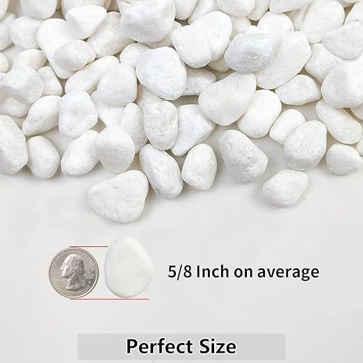 YISZM 20lb White River Rocks for Landscaping, 5/8 Inch Natural Pebbles for Indoor Plants, Snow White Decorative Stones, Ideal for Fish Tank, Vases, Crafting, Home Decor and Garden Rocks