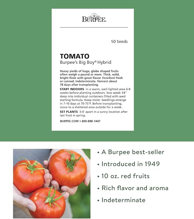 Burpee Big Boy Hybrid Tomato Seeds – Large Slicing Tomato Variety with Rich Flavor, 50 Non-GMO Seeds