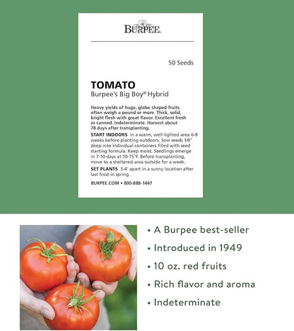 Burpee Big Boy Hybrid Tomato Seeds – Large Slicing Tomato Variety with Rich Flavor, 50 Non-GMO Seeds