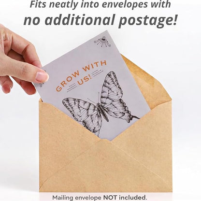 Bentley Seeds Grow with Us Pre Filled Butterfly Mix Seed Packets - 25 Individual Assortment Butterfly Mix Seed Packs for Party Favors Non-GMO Eco-Friendly Summer to Fall Gift - Outdoor Garden Seeds