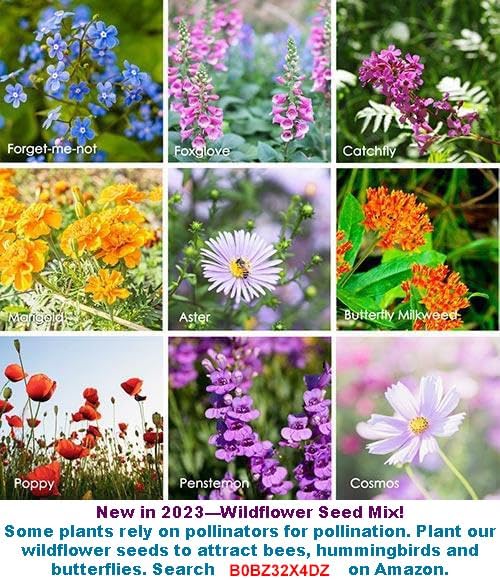 Bean Seeds for Planting Vegetables and Fruits.Pole Beans,Bush Beans,Romano Beans.Non GMO Garden Seeds for Home Vegetable Garden(6g,30+) Yardlong Pole Bean Seeds for Planting,Yard Long Asparagus Bean豇豆