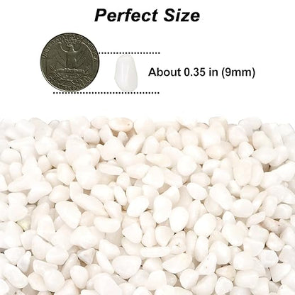 Landscaping Pebbles,River Rocks,Decorative Ornamental Pebbles,Garden Landscaping Stones,Gravel Filler for Home Decoration Flower Bed Fish Tank Plants Vases Succulents (1, White, 1 Pound)