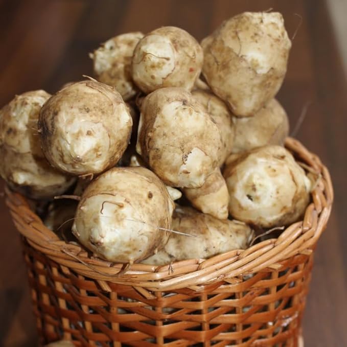 5Pcs Jerualem Artichoke Tubers for Planting Your Garden, Sunroots Sunchokes Tubers for Planting, Fresh Jerusalem Artichoke Roots
