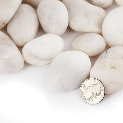 20LB River Pebbles Polished Gravel for Plants Natural White Plant Stones River Rocks 3/4-1 5/8 Inch River Stones for Landscaping Small Pebbles for Crafts