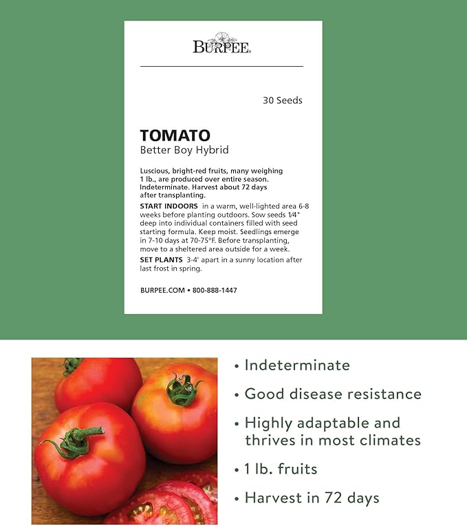 Burpee 'Better Boy' Hybrid Tomato Seeds , Large Slicing Red Tomato Variety , 30 Non-GMO Vegetable Seeds for Planting , Disease-Resistant Tomato for Garden
