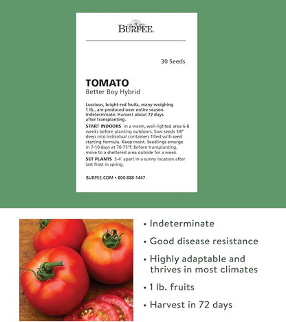 Burpee 'Better Boy' Hybrid Tomato Seeds , Large Slicing Red Tomato Variety , 30 Non-GMO Vegetable Seeds for Planting , Disease-Resistant Tomato for Garden