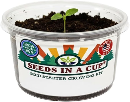 Dogwood Tree Seed Starter Grow Kit, Easy to use, Educational, Great Gift idea, Grow Your Own Tree, Huge Plant and Tree Selection to Choose from, Gift for Him