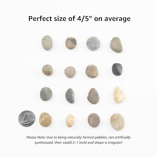 10 LBS Natural Pebbles - 1/2-1 inch Natural River Stones, Screened Decorative River Rocks for Landscaping, Garden Pathway, Plant Stones, Craft Walkways, and Outdoor Decorative (1/2-1 Inch