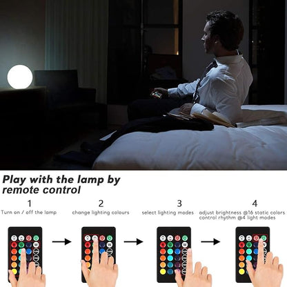 16-Inch LED Ball Light & 10-Inch Globe Light