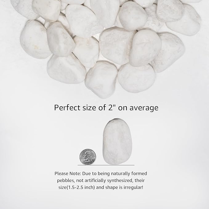 White Natural River Rocks, 1.5-2.5 Inch Decorative Stones for Plants, Garden, and Landscaping – 20LB, Ideal for Fish Tanks, Vases, Crafting, Home Decor, and Outdoor Landscaping