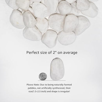 White Natural River Rocks, 1.5-2.5 Inch Decorative Stones for Plants, Garden, and Landscaping – 20LB, Ideal for Fish Tanks, Vases, Crafting, Home Decor, and Outdoor Landscaping