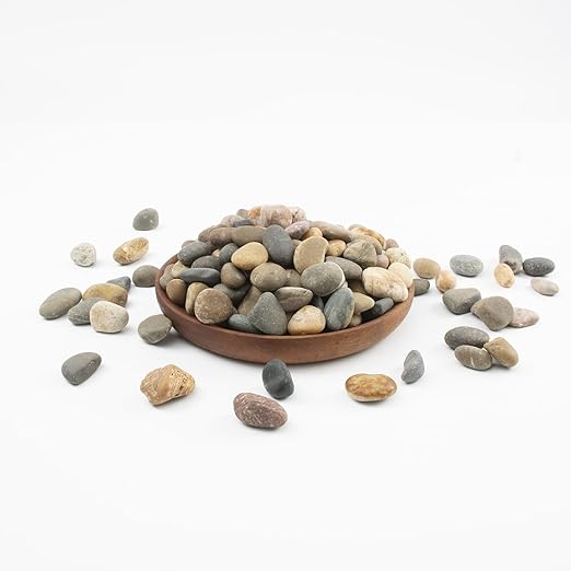 10 LBS Natural Pebbles - 1/2-1 inch Natural River Stones, Screened Decorative River Rocks for Landscaping, Garden Pathway, Plant Stones, Craft Walkways, and Outdoor Decorative (1/2-1 Inch