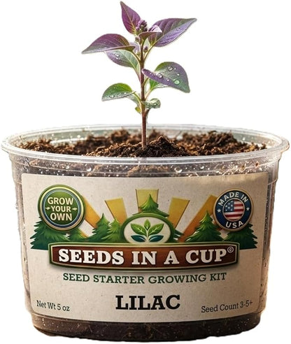 Seeds In A Cup® Lilac Grow Kit | Complete Seed Starter Set for Purple Flowering Lilac Bush | Includes Planter, Nutrient-Rich Soil & Non-GMO Seeds | Indoor Gardening Gift | Eco-Friendly Plant Kit