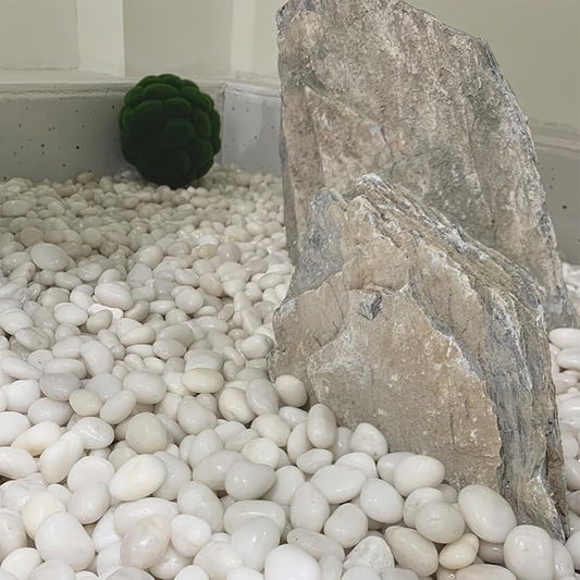 YISZM 40lbs White River Rocks for Garden Landscaping, 1-2 Inch Natural Pebbles for Indoor Plants, High Polished Decorative Stones Outdoor and Indoor DIY Vase Filler Fish Tank Aquariums