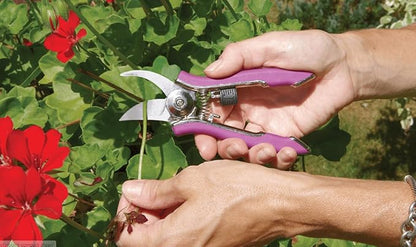 DRAMM Watering and Tool Set Includes 30-Inch One Touch Rain Wand, 9-Pattern Revolution Spray Gun, and Compact Shear, Berry