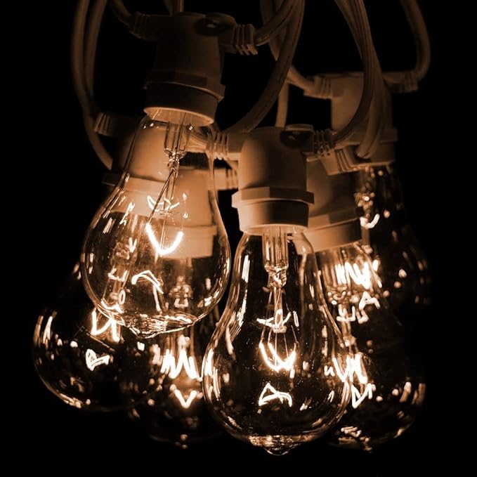 Hometown Evolution, Inc. Commercial Grade Vintage Edison Outdoor String Lights (PS50 Clear - Commercial White Wire, 25 ft)