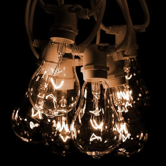 Hometown Evolution, Inc. Commercial Grade Vintage Edison Outdoor String Lights (PS50 Clear - Commercial White Wire, 25 ft)