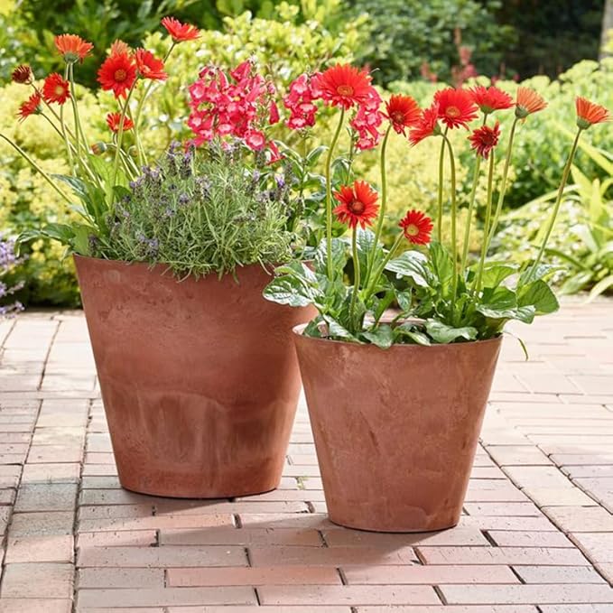 Root & Vessel Napa Round Planter, Rust, 6"