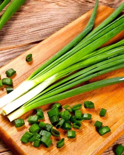 Seeds Japanese Green Onions Tokyo 300+ Seeds for Planting Bunching Onions Perennial