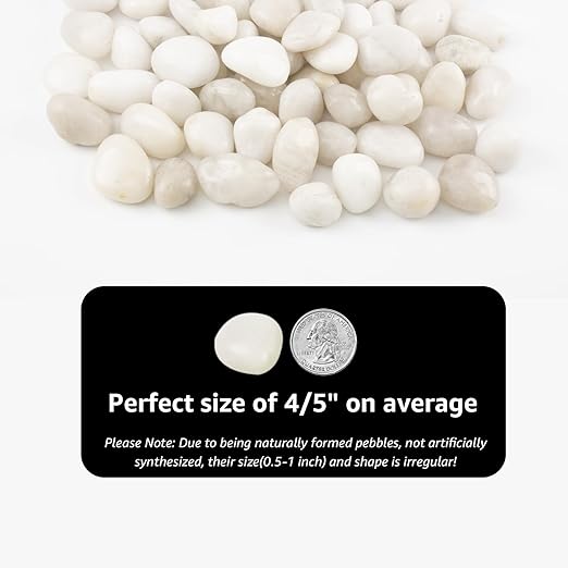 River Rocks - Natural Polished White Pebbles, 0.5-1 inch, 40 lbs - Perfect for Indoor Planting, Vase Filling, Aquarium Decoration, and Garden Landscaping (White, Weight: 40 LB)