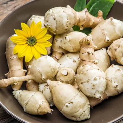 10Pcs Jerualem Artichoke Tubers for Planting Vegetable Garden, Sunroots Sunchokes Tubers for Planting, Fresh Jerusalem Artichoke Roots