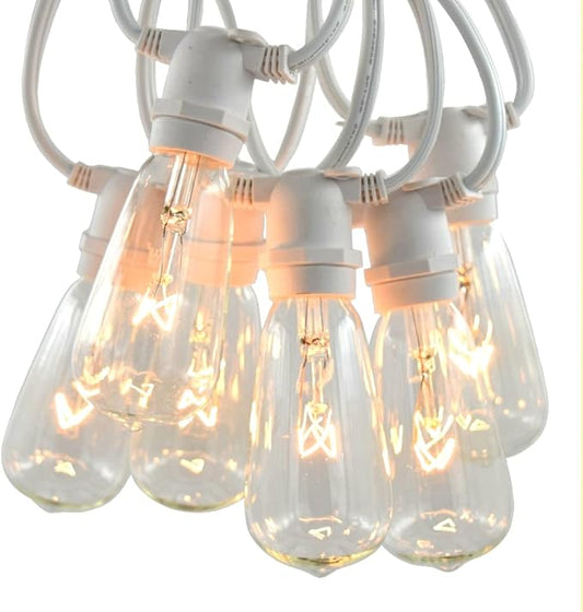 Hometown Evolution, Inc. Commercial Grade Vintage Edison Outdoor String Lights (ST40 Clear - Commercial White Wire, 50 ft)