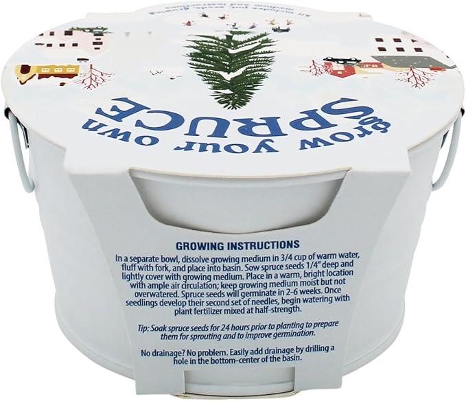 Buzzy Seeds Grow Your Own Christmas Tree Kit - Metal Windowsill Planter - Complete Indoor/Outdoor Gardening Kit with Seeds, Coconut Husk Growing Medium & Genuine Pots - 100% Grow Guarantee