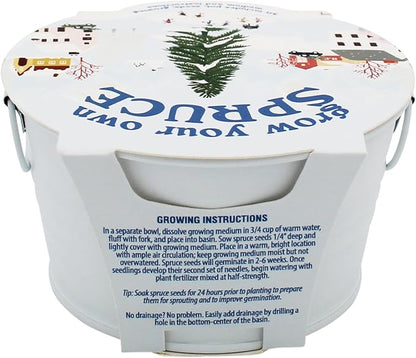 Buzzy Seeds Grow Your Own Christmas Tree Kit - Metal Windowsill Planter - Complete Indoor/Outdoor Gardening Kit with Seeds, Coconut Husk Growing Medium & Genuine Pots - 100% Grow Guarantee