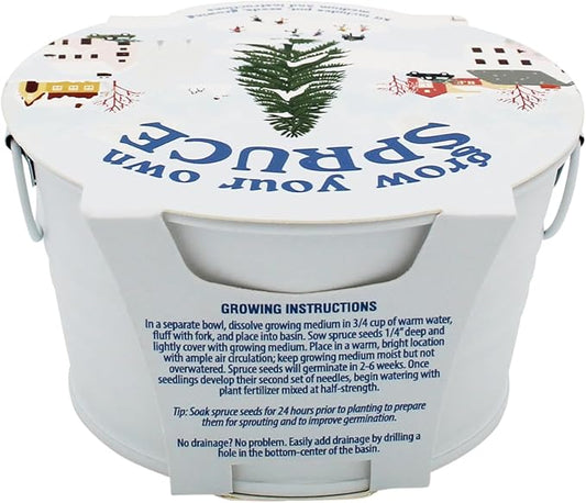 Buzzy Seeds Grow Your Own Christmas Tree Kit - Metal Windowsill Planter - Complete Indoor/Outdoor Gardening Kit with Seeds, Coconut Husk Growing Medium & Genuine Pots - 100% Grow Guarantee