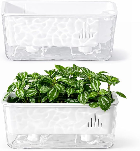 Self Watering Pots for Indoor Plans, 2 Packs Window Boxes Planters Rectangle Self Watering Planter 11 in Rectangular Clear Plant Pots Long Herb Windowsill Planter Flower Box Succulent Planters