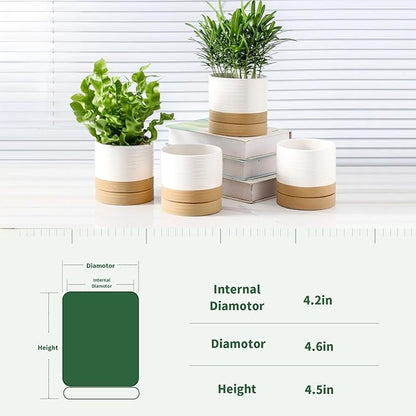 HASENSE Small Plant Pot, 4.6 Inch Ceramic Succulent Flower Pots with Drainage Hole and Tray, White Indoor Planter Pot for Cactus, Gardening Home Desktop Office Windowsill Decoration Gift, Set of 4
