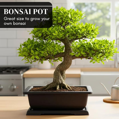 CZ Grain Large Bonsai Pot and Drip Tray - 11 inch Rectangle Container with Tray - Durable Container for Indoor and Outdoor Plants - Planter for Bonsai Trees, Indoor Plants & Herbs