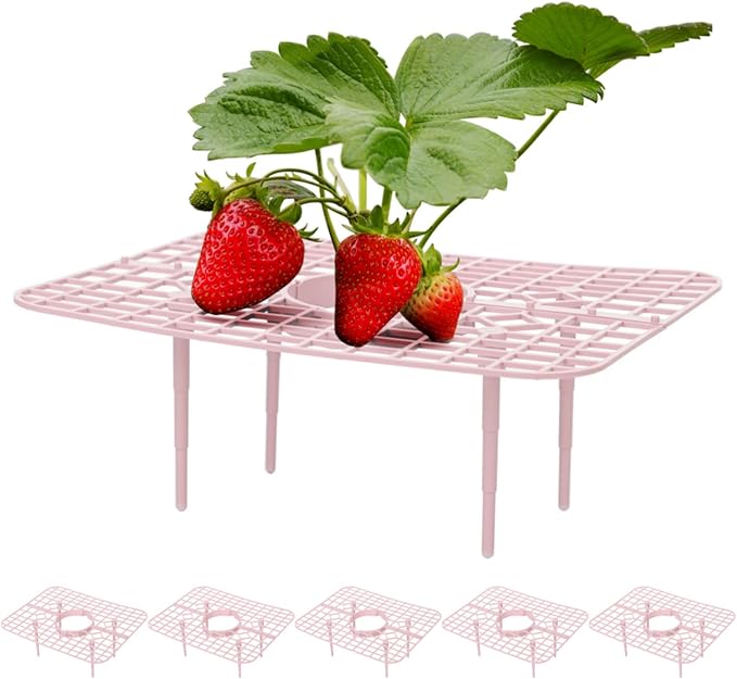 IUIBMI 5 Pack Strawberry Supports Strawberry Growing Frame Strawberry Growing Kit Strawberry Plant Support Strawberry Growing Racks with 4 Sturdy Legs, Protecting Strawberry from Mold, Rot and Dirt