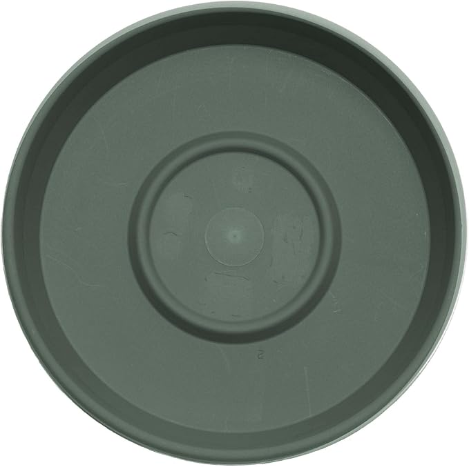 Bloem Terra Resin Saucer Tray: 9.25" Bottom Width - Basil Green - Matte, Durable, Ribbed Bottom, Indoor and Outdoor, Fits 12" Terra Pots