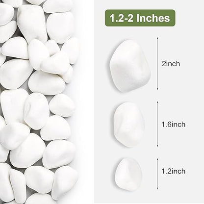 SIDONG 20 lbs White River Rocks, 1.2-2 Inches Matte Pebbles for Indoor Plants, Aquarium Rocks Used in Fish Tank, Decorative Stones for Plants, Vases, Home Décor, Crafting, Garden Landscaping