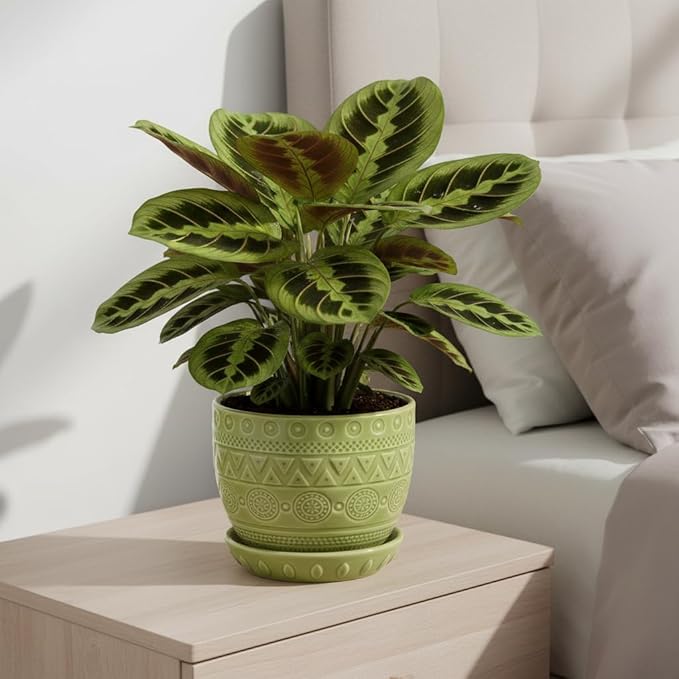 G EPGardening Indoor Plant Pot 5.5 Inch - Ceramic Planter with Drainage Hole and Saucer, Round Boho Plant Pot for Indoor Plants, Plant Lover Gifts, Home Garden Office Decor, Green