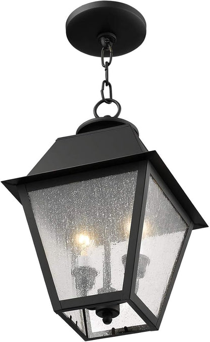 Livex Lighting 2167-04 Mansfield 2-Light Outdoor Hanging Lantern, Black