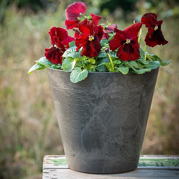 Root & Vessel Napa Round Planter, Black, 10"