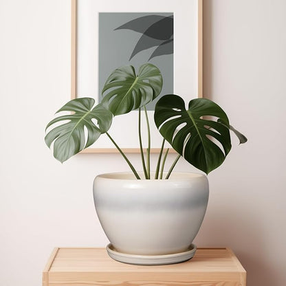 10 Inch Ceramic Planter Pot - Large Plant Pot with Drainage Hole and Saucer Round Flower Pot for Indoor Plants, White