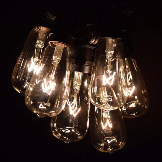 Hometown Evolution, Inc. Commercial Grade Vintage Edison Outdoor String Lights (ST40 Clear - Commercial Black Wire, 100 ft)