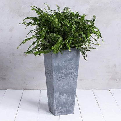 ArtStone 35350.01 Ella Tall Planter Grey 35.5-inch