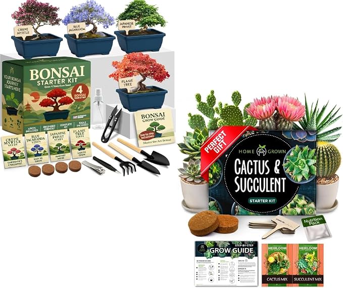HOME GROWN Bonsai Tree Starter Kit – Unique Christmas Gift for Adults, Men, Women - Grow 4 Bonsais & HOME GROWN Succulent & Cactus Seed Kit for Planting