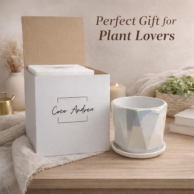 Coco Andrea Ceramic Plant Pots for Indoor Plants with Drainage & Saucers - 5-inch Iridescent White Planters for Houseplants, Succulents & Flowers - 2-Piece Housewarming Gift Set (2, Large)