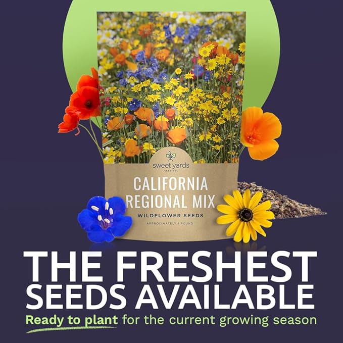 California Natives Mix - Bulk 1 Pound Bag - Over 120,000 Native Seeds - Open Pollinated and Non GMO