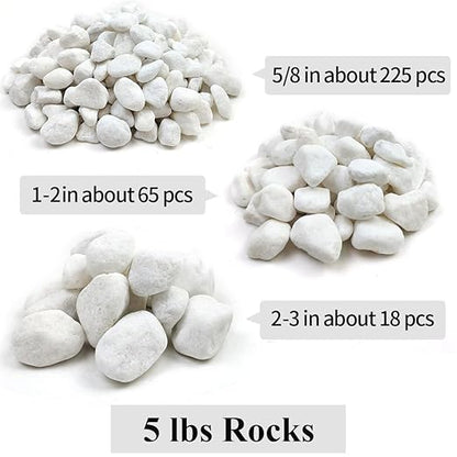 YISZM 20lb White River Rocks for Landscaping, 5/8 Inch Natural Pebbles for Indoor Plants, Snow White Decorative Stones, Ideal for Fish Tank, Vases, Crafting, Home Decor and Garden Rocks