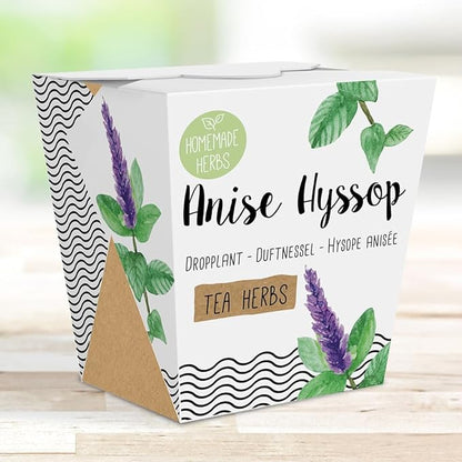 Homemade Herb Kit – All-in-One Anise Hyssop – Indoor Garden Planter - Grow Your own Tea Herbs – Live Seeds Ready to Plant – Pleasantly Scented