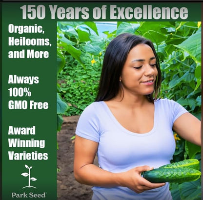 Park Seed Variety of Cucumber Seeds, Planting Cucumbers, Vegetable Seeds, Easy to Grow, Non-GMO, Perfect for Harvesting, Mini-Me F1 Organic, 2 x Pack of 10